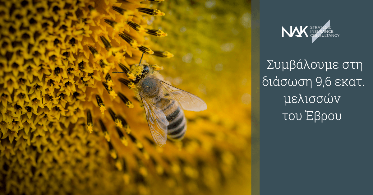H NAK KATSIBERIS συμβάλει στη διάσωση 9,6 εκατομμύριων μελισσών του Έβρου
